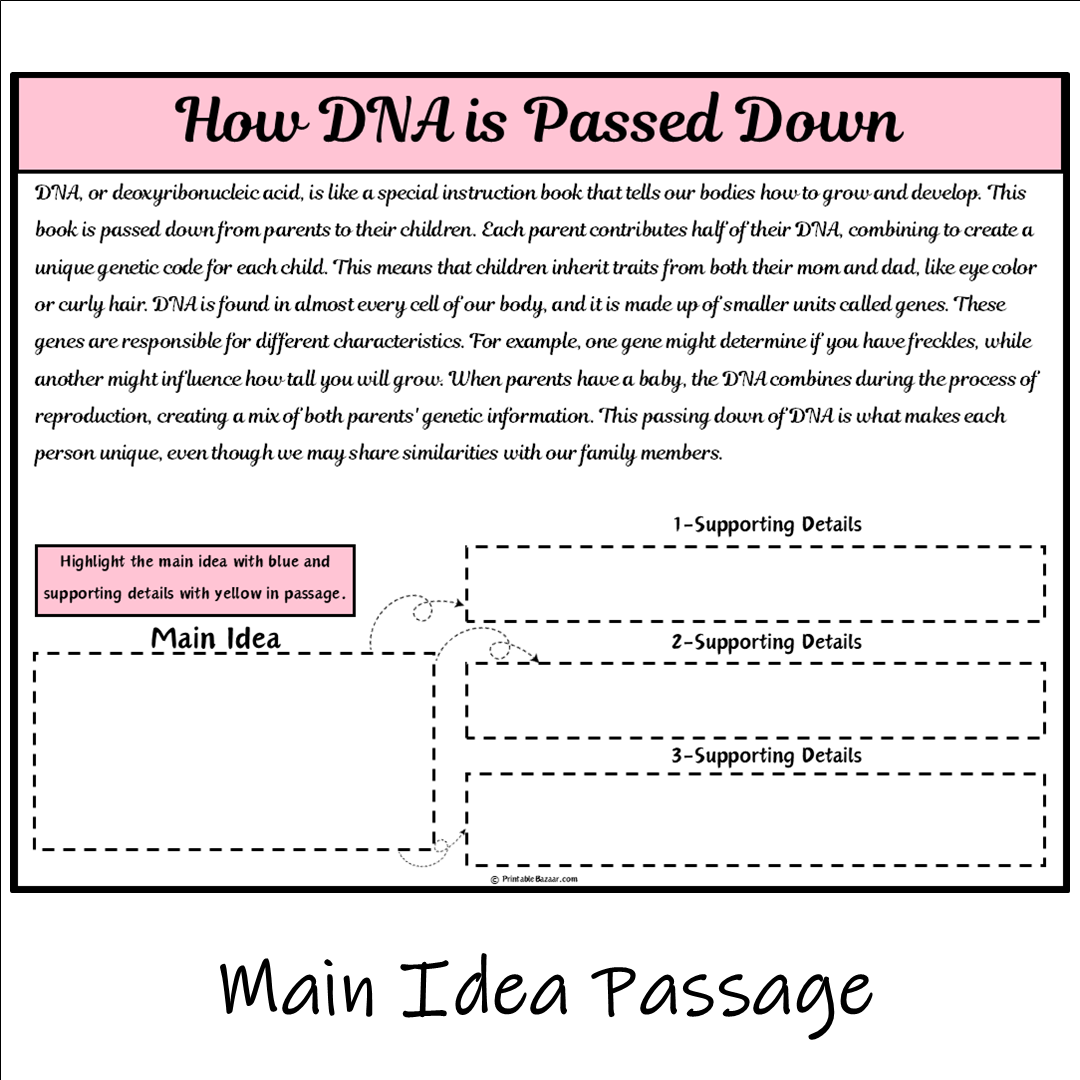 How DNA is Passed Down | Main Idea and Supporting Details Reading Passage and Questions