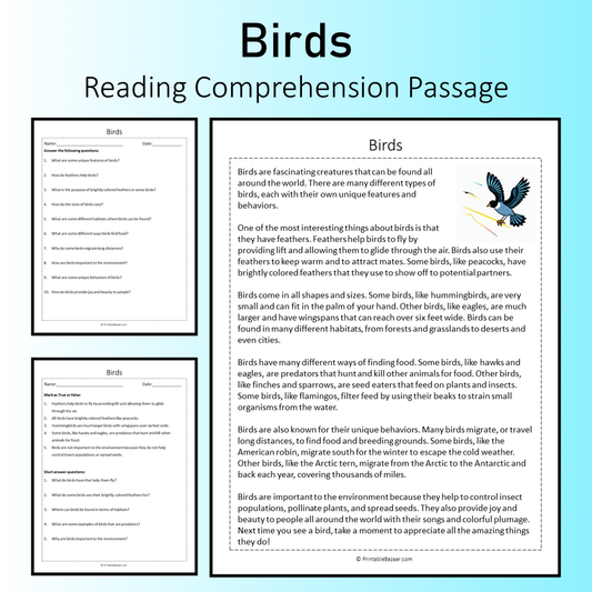 Birds | Reading Comprehension Passage Printable Worksheet