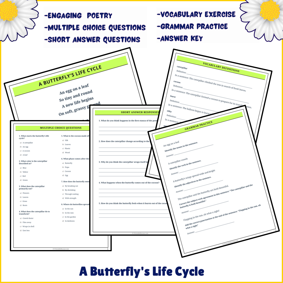 A Butterfly's Life Cycle | Poem Grammar Worksheet Printable Activity