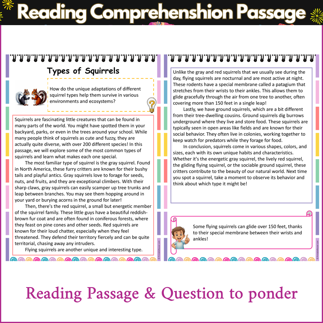 Types of Squirrels | Reading Comprehension Passage and Questions