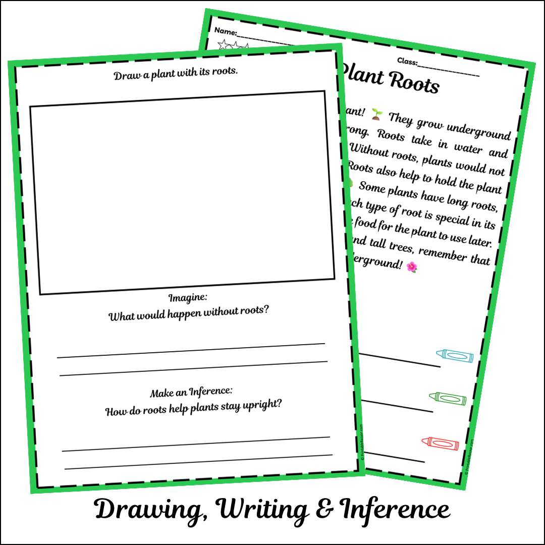 Plant Roots | Short Reading Comprehension Creative Worksheet