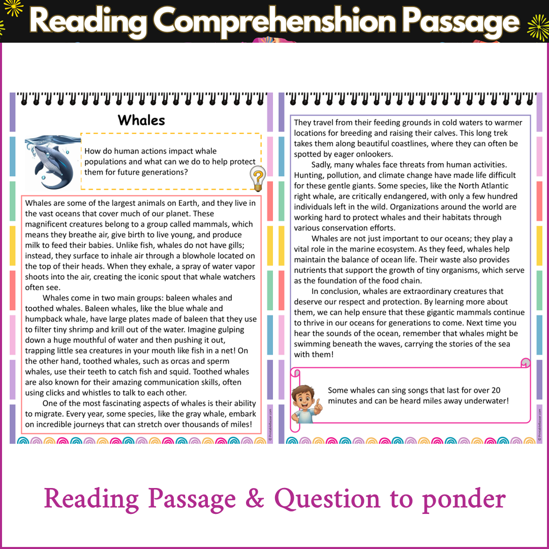 Whales | Reading Comprehension Passage and Questions