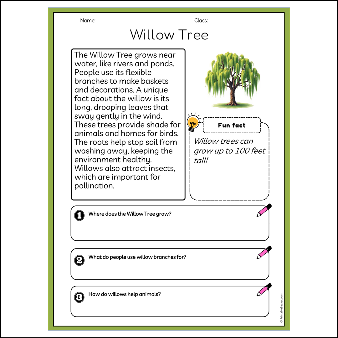 Willow Tree | Reading Passage Comprehension Questions Writing Facts Worksheet