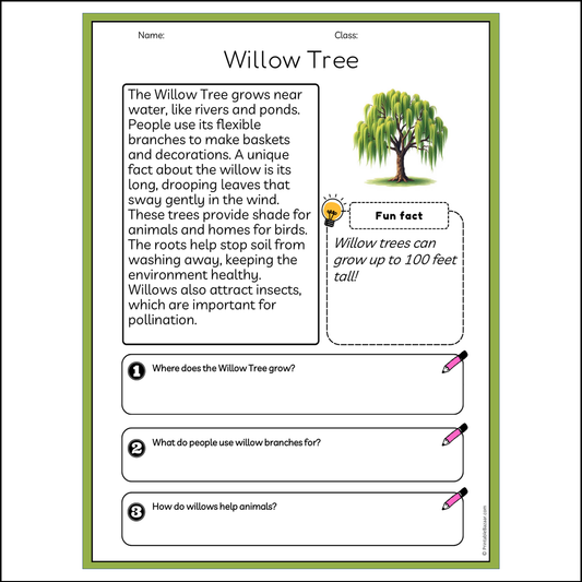 Willow Tree | Reading Passage Comprehension Questions Writing Facts Worksheet