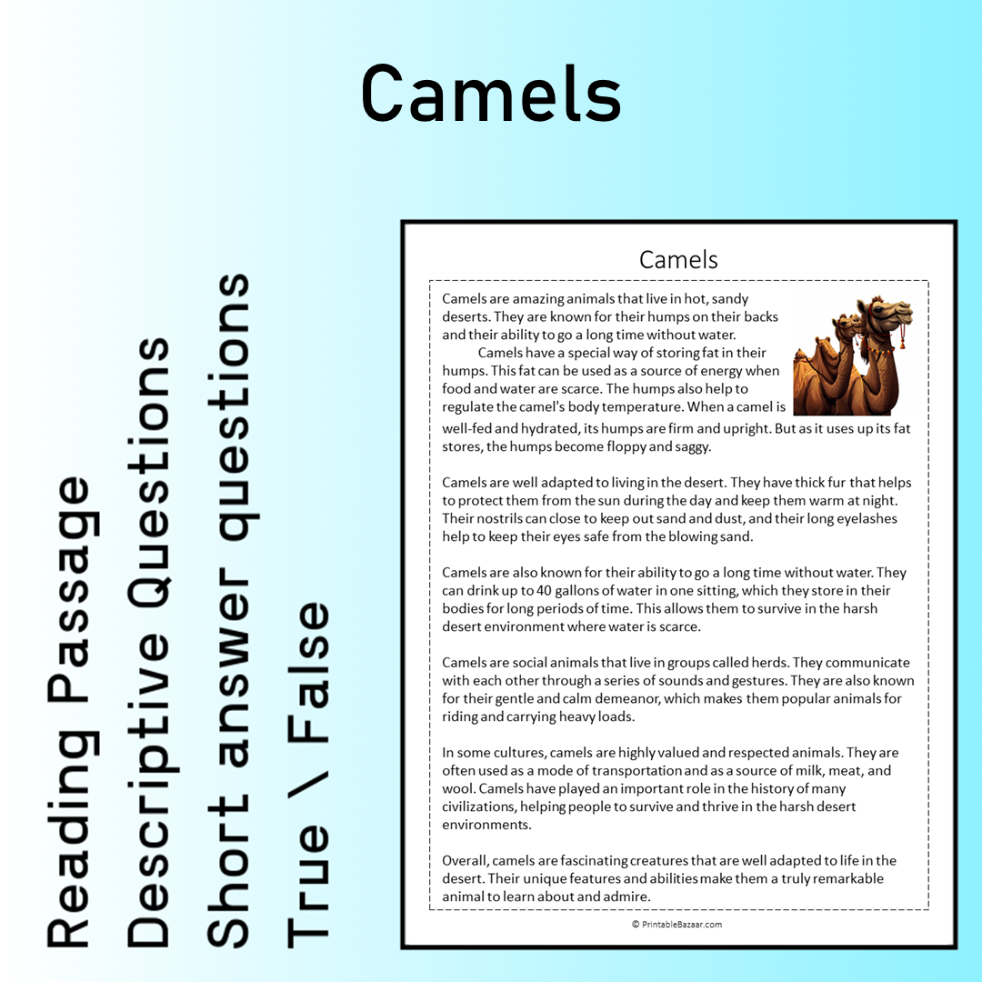 Camels | Reading Comprehension Passage Printable Worksheet