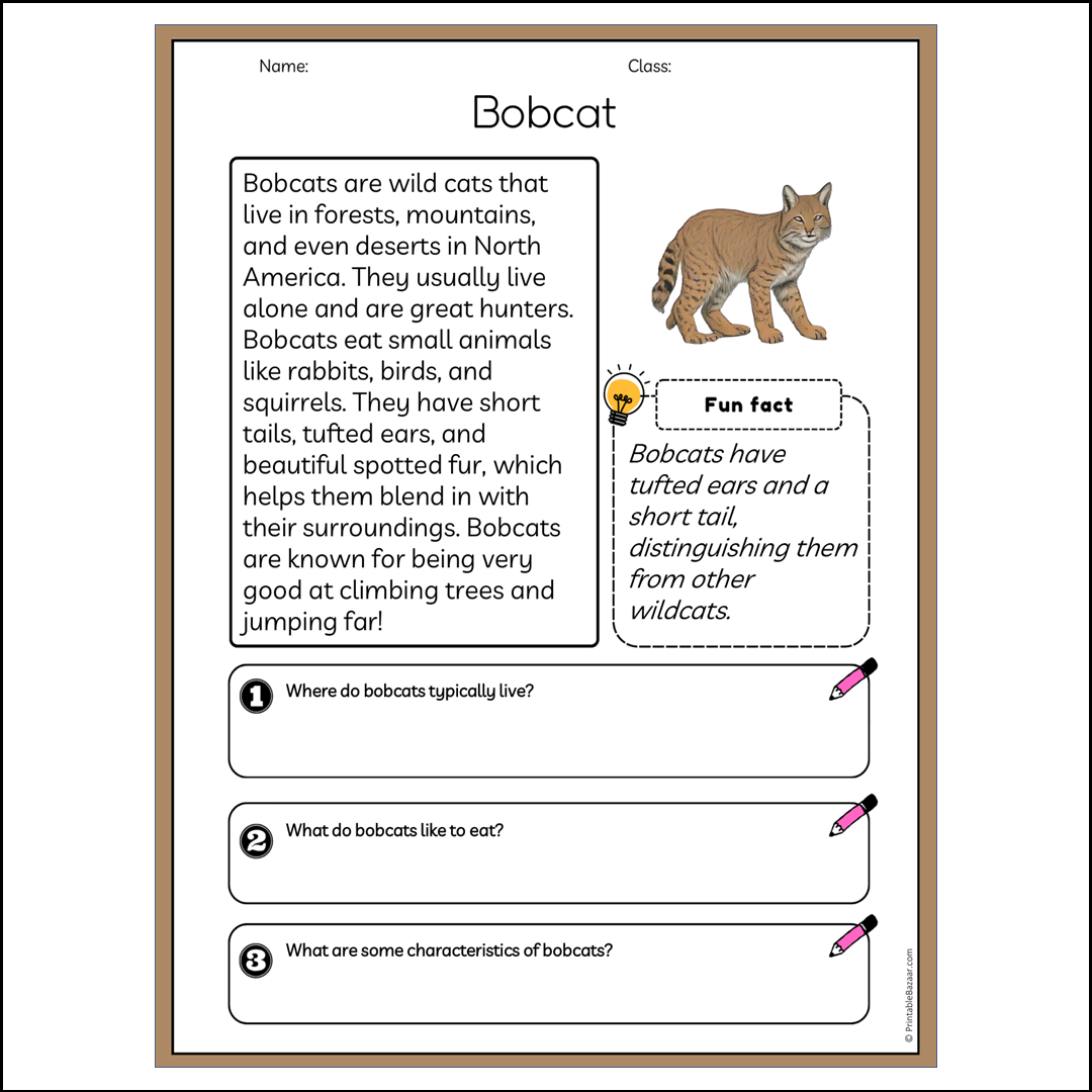 Bobcat | Reading Passage Comprehension Questions Writing Facts Worksheet