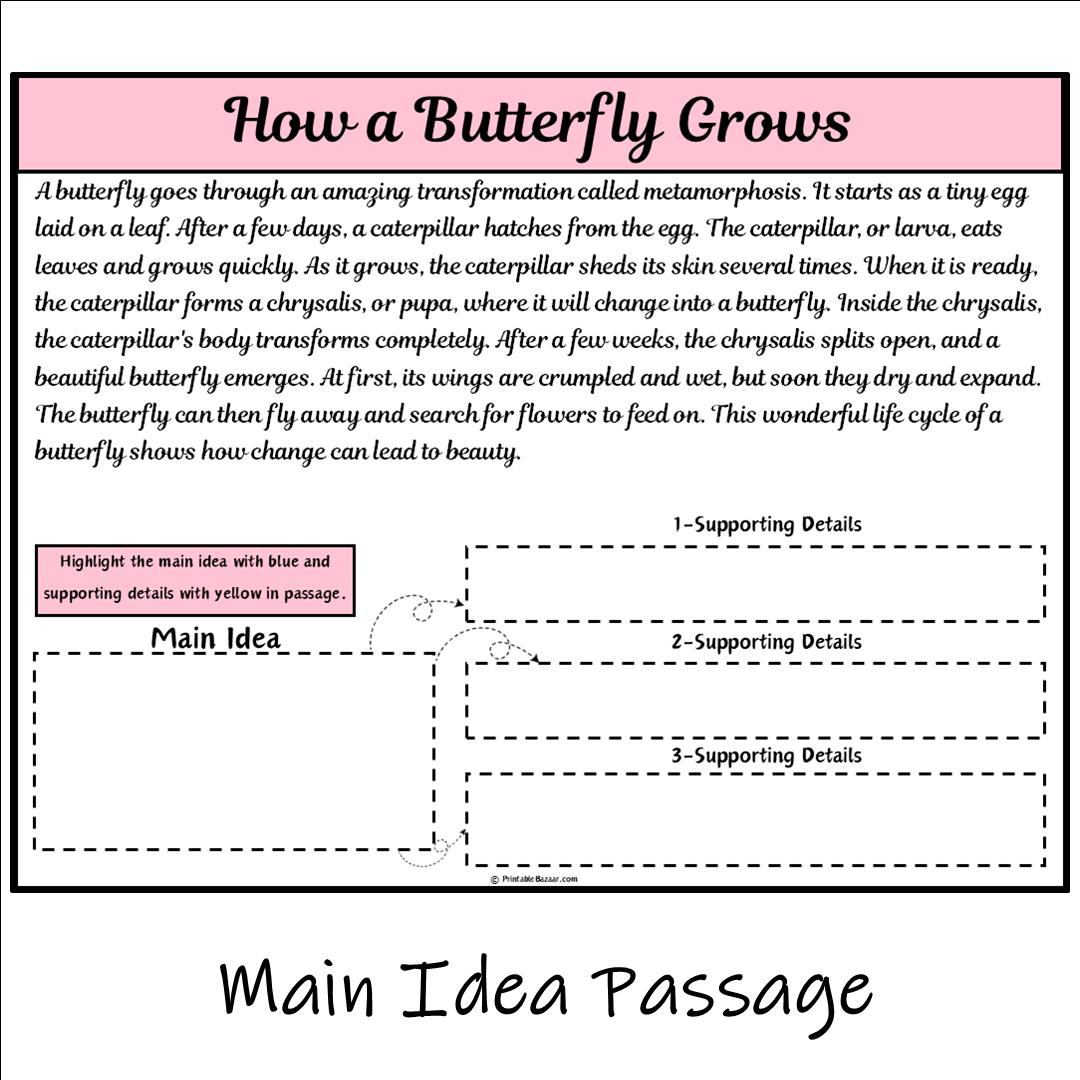 How a Butterfly Grows | Main Idea and Supporting Details Reading Passage and Questions