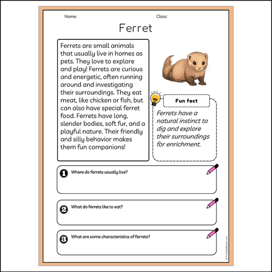 Ferret | Reading Passage Comprehension Questions Writing Facts Worksheet