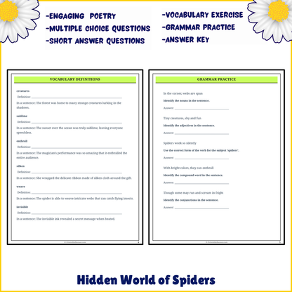 Hidden World of Spiders | Poem Grammar Worksheet Printable Activity