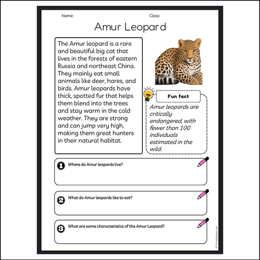 Amur Leopard | Reading Passage Comprehension Questions Writing Facts Worksheet