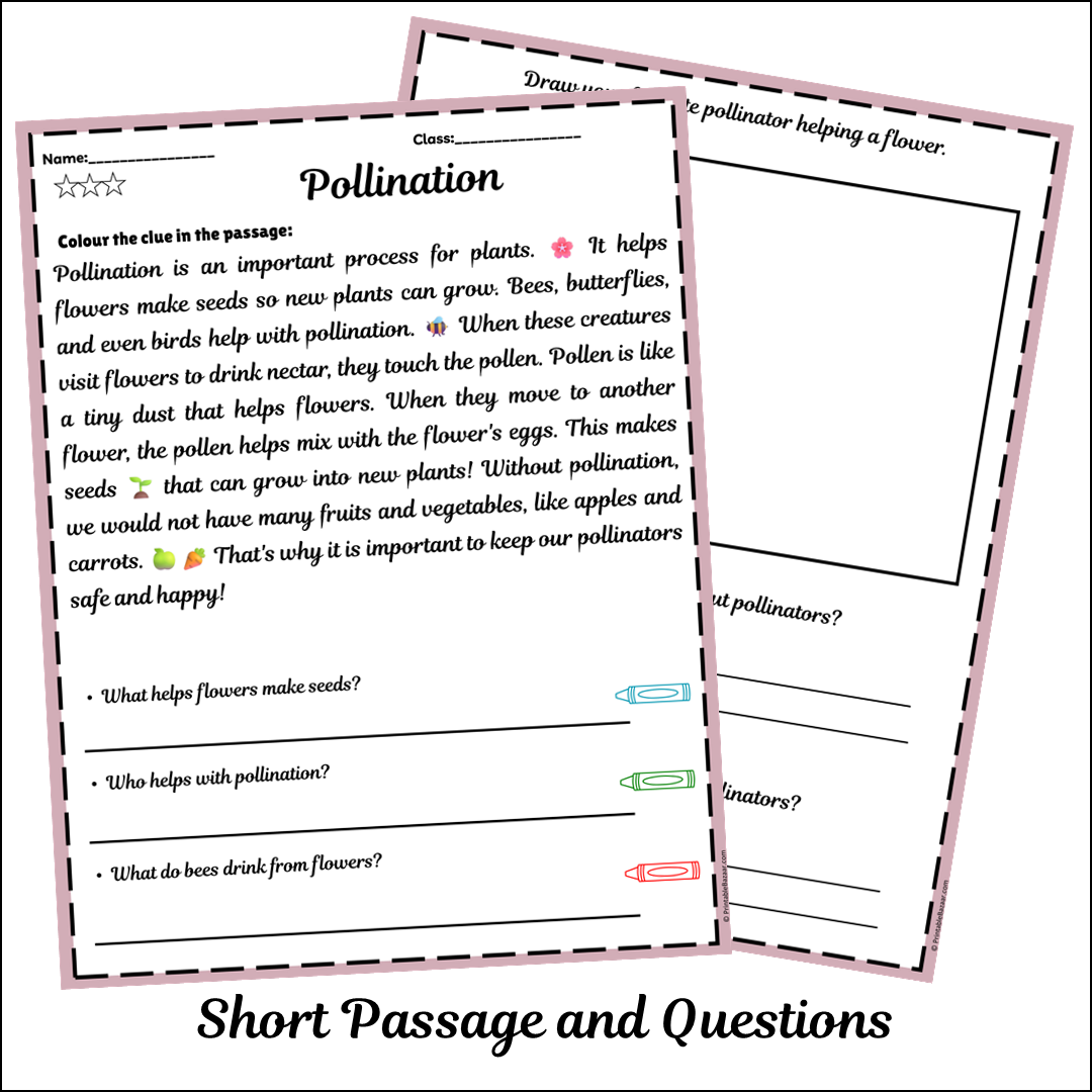Pollination | Short Reading Comprehension Creative Worksheet