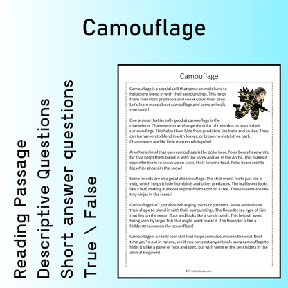 Camouflage | Reading Comprehension Passage Printable Worksheet