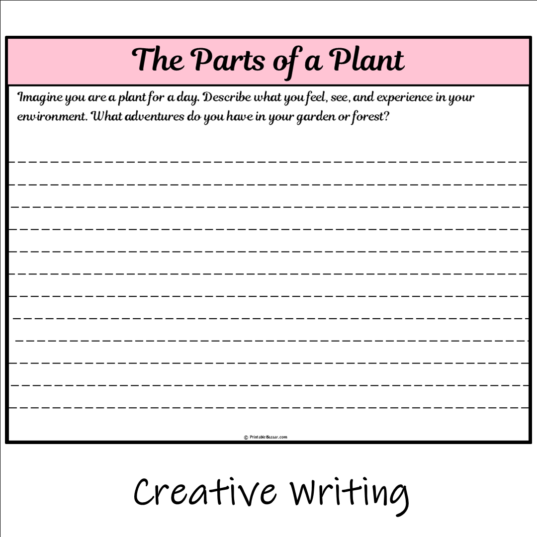 The Parts of a Plant | Main Idea and Supporting Details Reading Passage and Questions