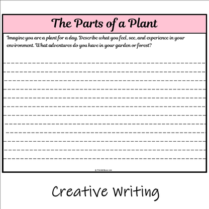 The Parts of a Plant | Main Idea and Supporting Details Reading Passage and Questions