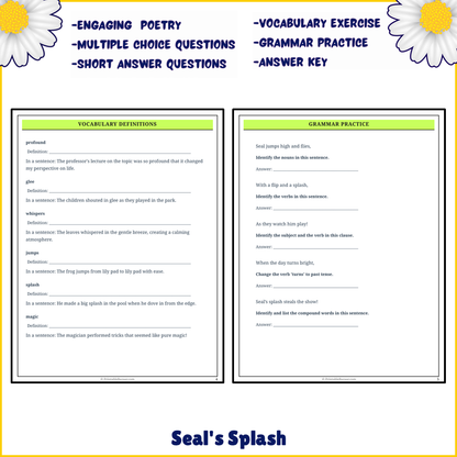 Seal's Splash | Poem Grammar Worksheet Printable Activity