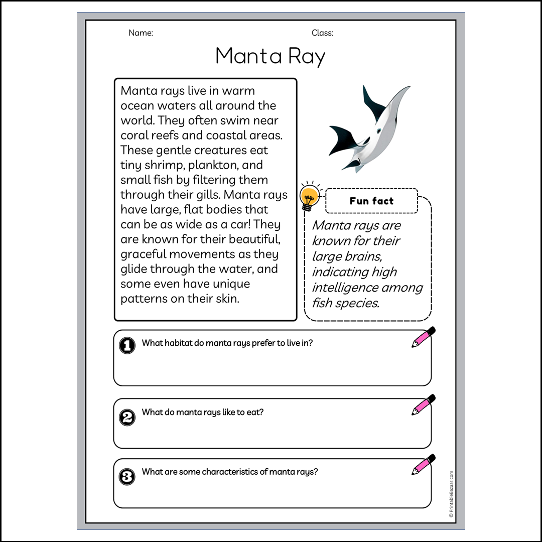 Manta Ray | Reading Passage Comprehension Questions Writing Facts Worksheet