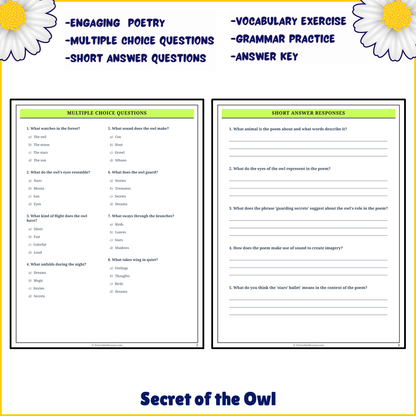 Secret of the Owl | Poem Grammar Worksheet Printable Activity