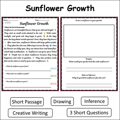 Sunflower Growth | Short Reading Comprehension Creative Worksheet