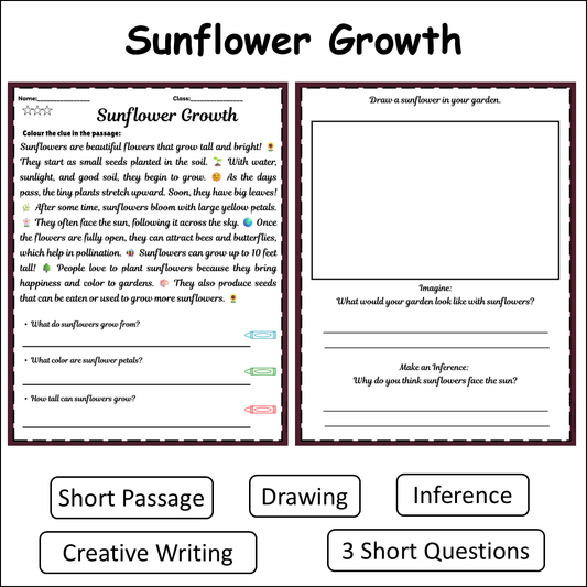 Sunflower Growth | Short Reading Comprehension Creative Worksheet