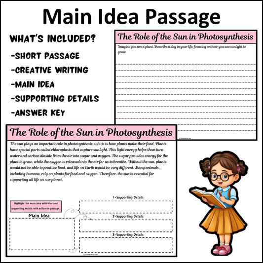 The Role of the Sun in Photosynthesis | Main Idea and Supporting Details Reading Passage and Questions