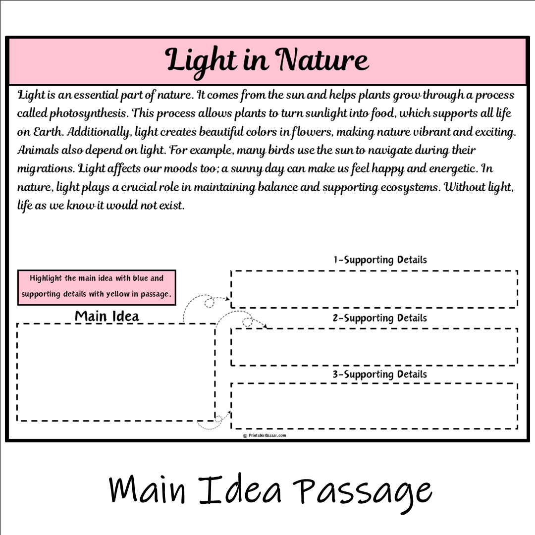 Light in Nature | Main Idea and Supporting Details Reading Passage and Questions