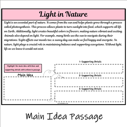 Light in Nature | Main Idea and Supporting Details Reading Passage and Questions