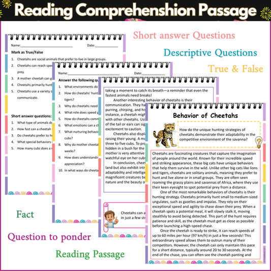 Behavior of Cheetahs | Reading Comprehension Passage and Questions