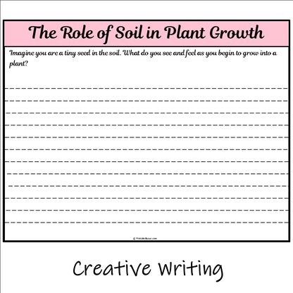 The Role of Soil in Plant Growth | Main Idea and Supporting Details Reading Passage and Questions