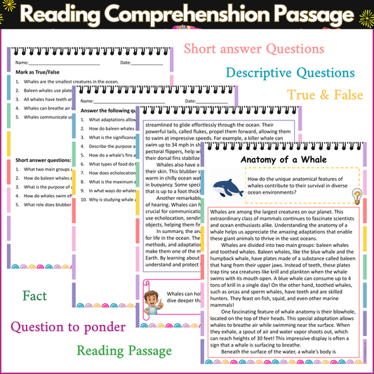 Anatomy of a Whale | Reading Comprehension Passage and Questions