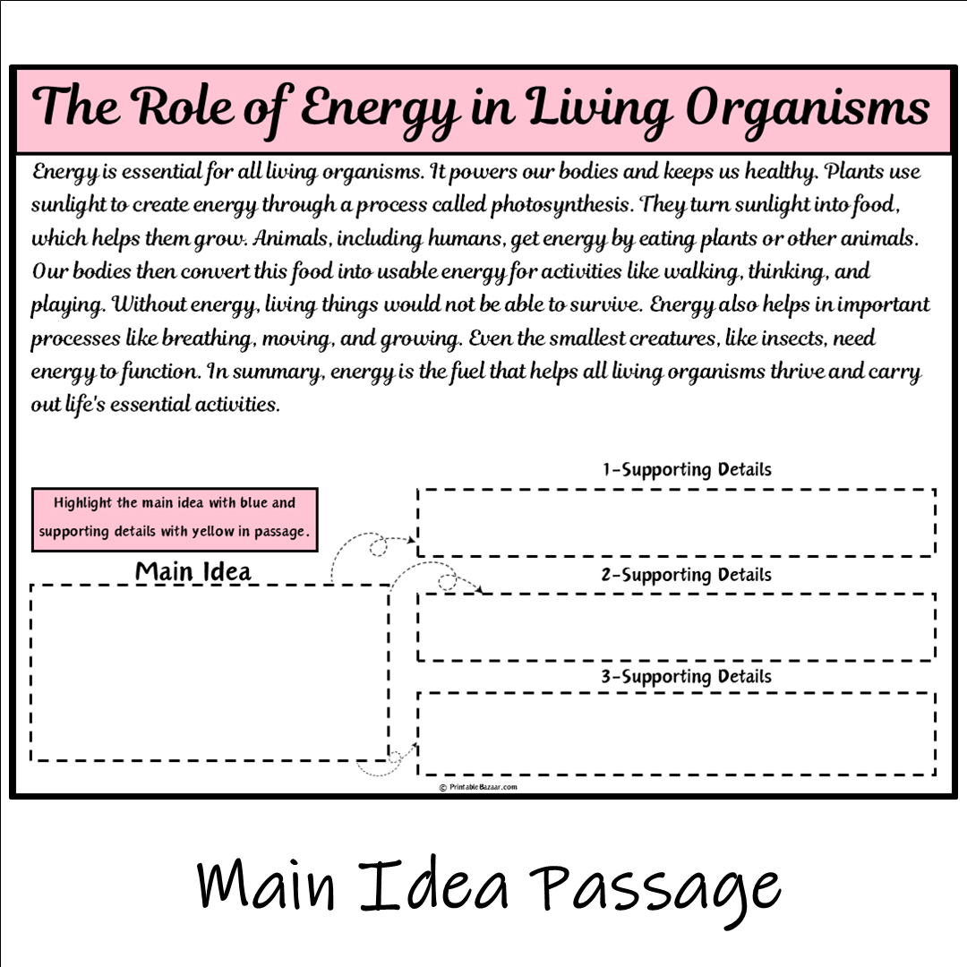 The Role of Energy in Living Organisms | Main Idea and Supporting Details Reading Passage and Questions