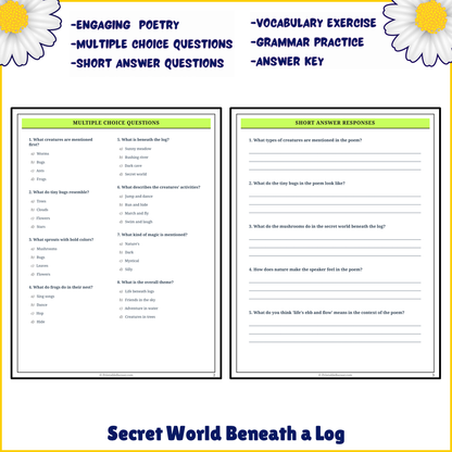 Secret World Beneath a Log | Poem Grammar Worksheet Printable Activity