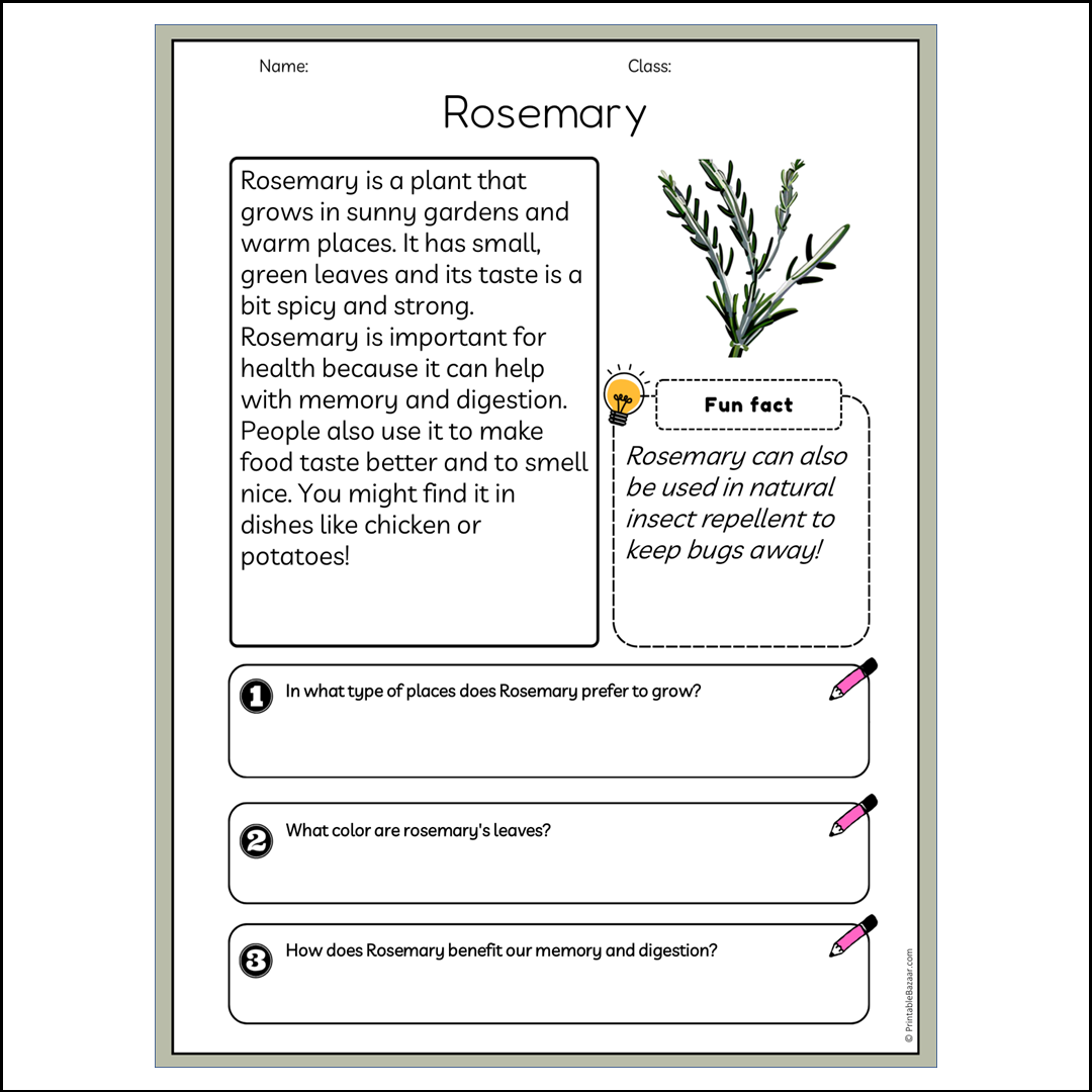 Rosemary | Reading Passage Comprehension Questions Writing Facts Worksheet