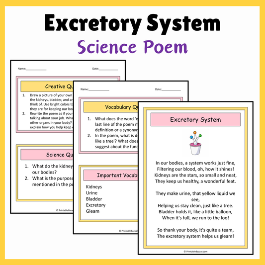 Excretory System | Science Poem Reading Comprehension Activity