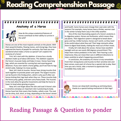 Anatomy of a Horse | Reading Comprehension Passage and Questions