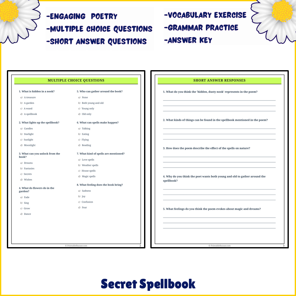 Secret Spellbook | Poem Grammar Worksheet Printable Activity