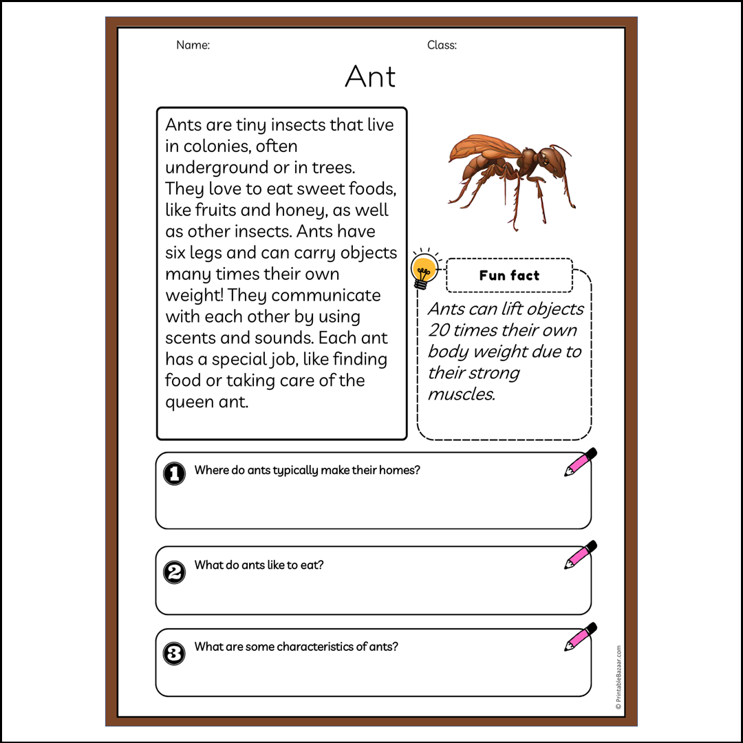 Ant | Reading Passage Comprehension Questions Writing Facts Worksheet