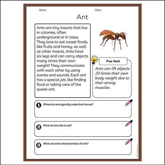 Ant | Reading Passage Comprehension Questions Writing Facts Worksheet