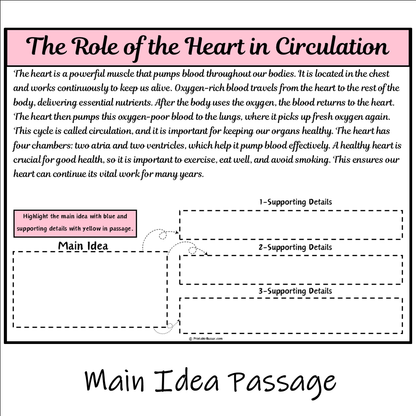 The Role of the Heart in Circulation | Main Idea and Supporting Details Reading Passage and Questions