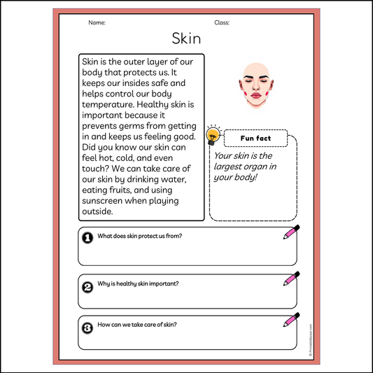 Skin | Reading Passage Comprehension Questions Writing Facts Worksheet