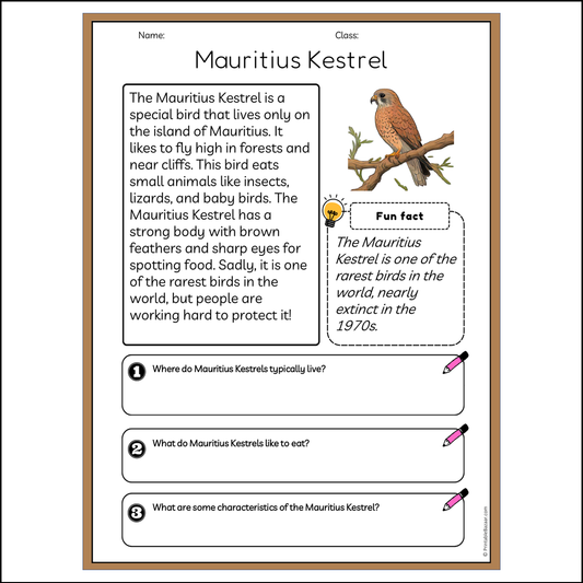 Mauritius Kestrel | Reading Passage Comprehension Questions Writing Facts Worksheet