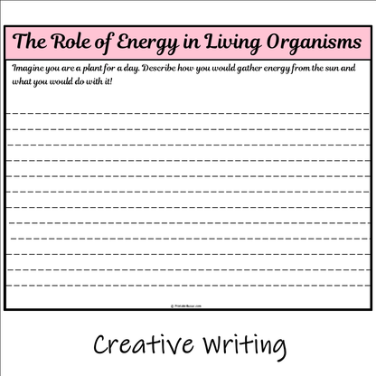 The Role of Energy in Living Organisms | Main Idea and Supporting Details Reading Passage and Questions