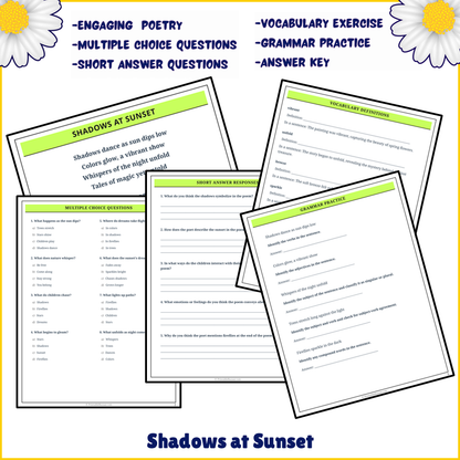 Shadows at Sunset | Poem Grammar Worksheet Printable Activity