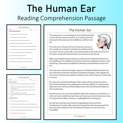 The Human Ear | Reading Comprehension Passage Printable Worksheet