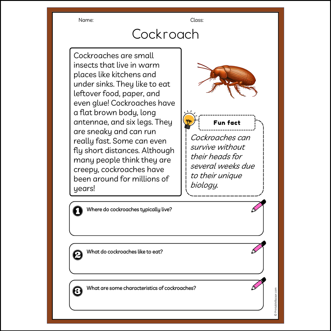 Cockroach | Reading Passage Comprehension Questions Writing Facts Worksheet