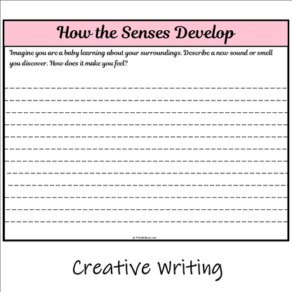 How the Senses Develop | Main Idea and Supporting Details Reading Passage and Questions