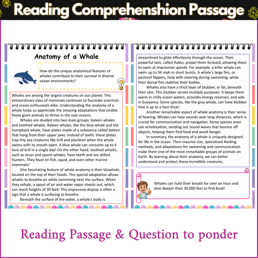 Anatomy of a Whale | Reading Comprehension Passage and Questions