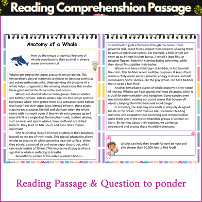 Anatomy of a Whale | Reading Comprehension Passage and Questions