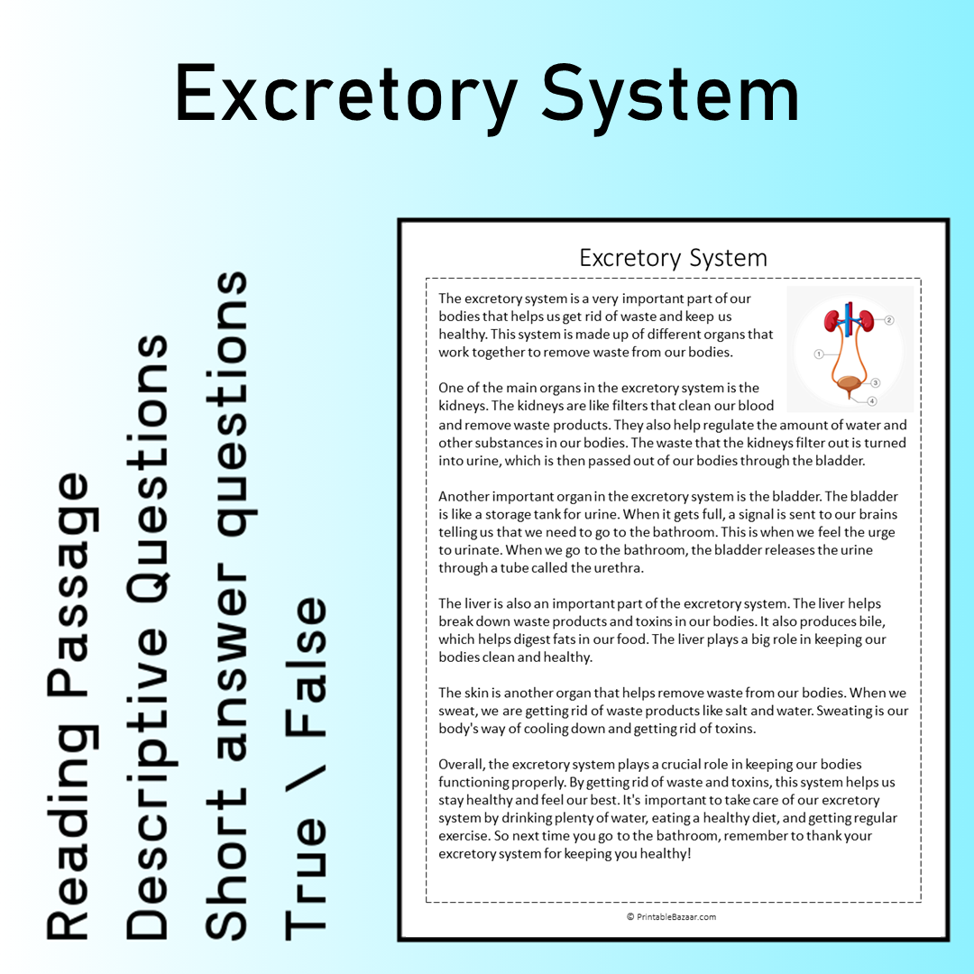 Excretory System | Reading Comprehension Passage Printable Worksheet