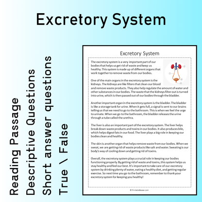 Excretory System | Reading Comprehension Passage Printable Worksheet