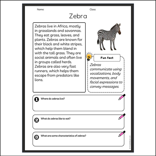 Zebra | Reading Passage Comprehension Questions Writing Facts Worksheet